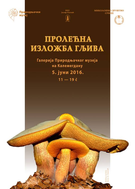 prolecna izlozba gljiva