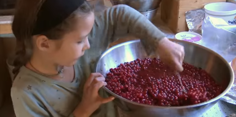 porodica u divljini