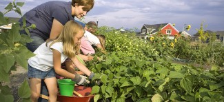 Šta sve deca mogu sama da rade u vrtu