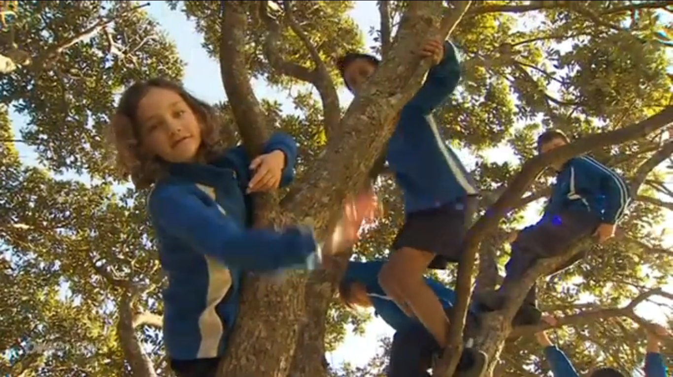 penjanje na drvo