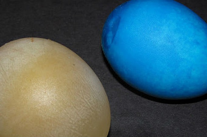 Prozirna jaja koja skaču – fenomenalan eksperiment za decu!