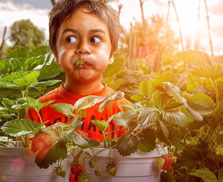 slike dece adrian sommeling (9)