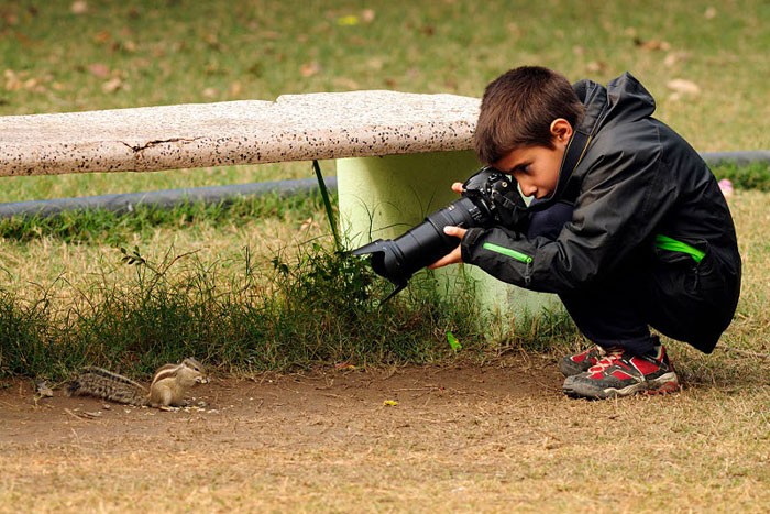 fotograf zivotinja