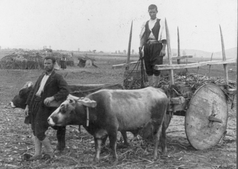 otac tradicionalna porodica