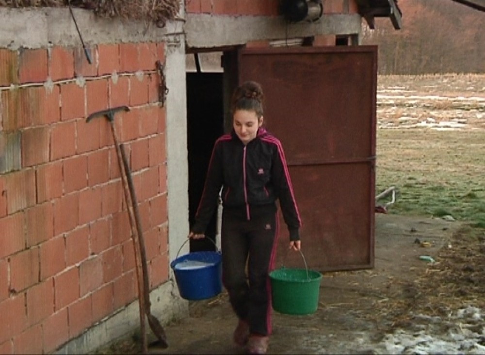 Kraljevo 04 - Jovana nosi izmuzeno mleko - Foto N. Božović_1000x0
