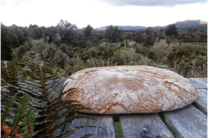 Maorski Rewena hleb