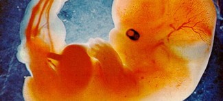 Zašto sam prestao da vršim abortuse? (dr Stojan Adašević)