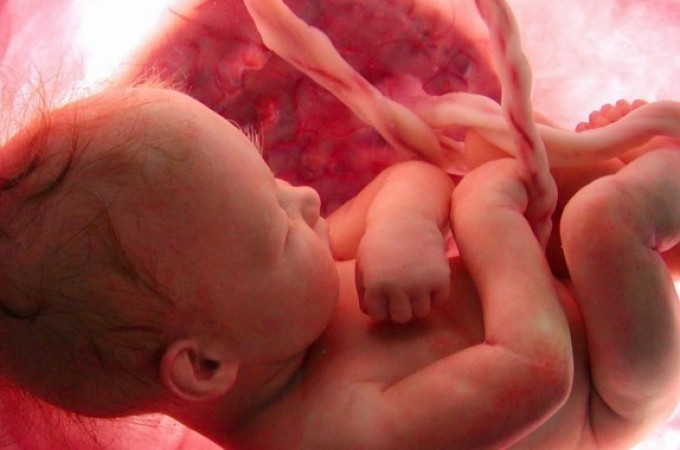 Lečenje matičnim ćelijama: 10 pitanja i 10 odgovora