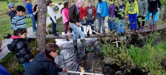 Švedska: Posle šumskih vrtića – šumske škole?