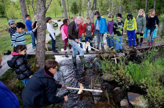 Švedska: Posle šumskih vrtića – šumske škole?