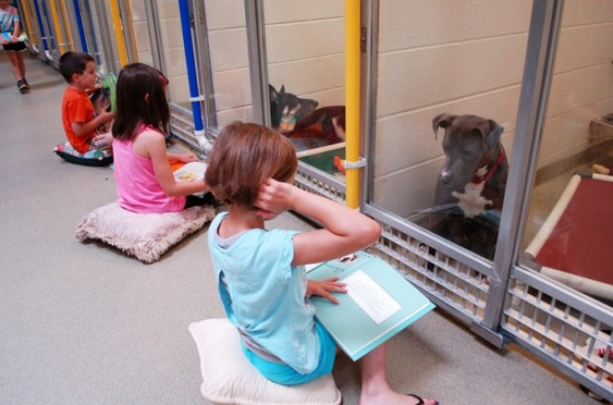 Mali volonteri: Deca čitaju psima koji su stidljivi i uplašeni