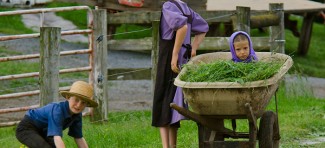 Kako Amiši vaspitavaju decu koja pomažu u domaćinstvu