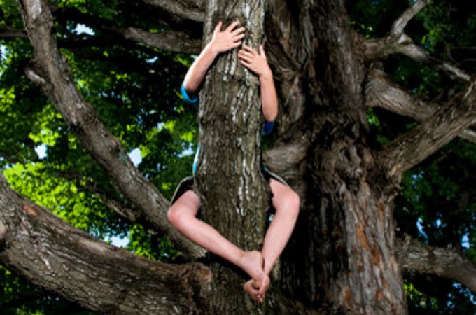 Penjanje po drveću nije samo majmunisanje!