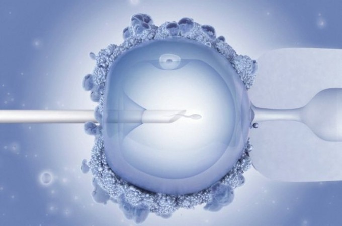 U Narodnom frontu će od sada moći da se čuvaju embrioni