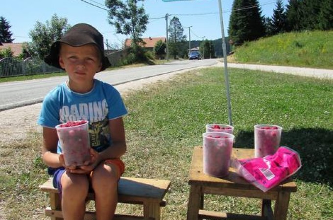 Dečak sa Manjače prodaje maline da kupi knjige za školu