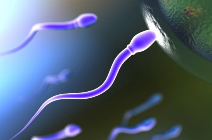 Sedam iznenađujućih činjenica o plodnosti