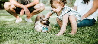 Zašto bi svako dete trebalo da odraste uz mačku?