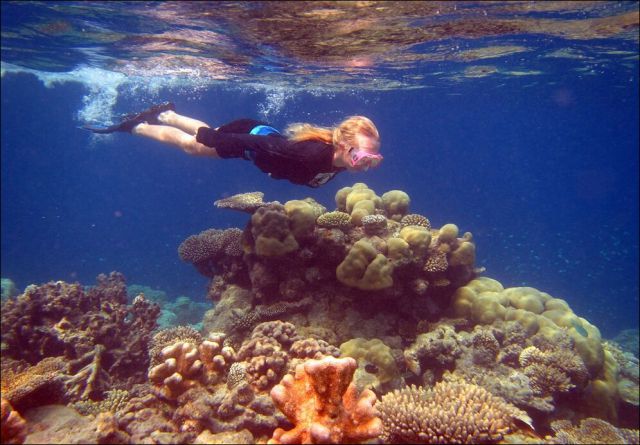 koralni-greben
