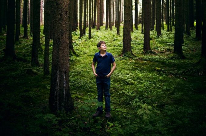 Dečak koji planira da zasadi trilion stabala i sačuva planetu