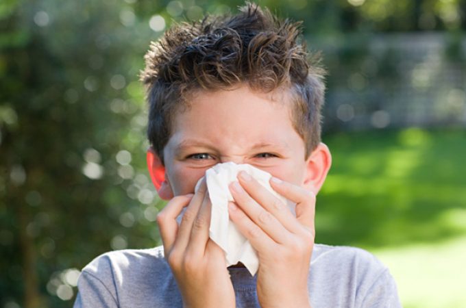 Od alergija pati svako četvrto dete u Srbiji