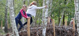 Deca u Berlinu dobijaju parkove za penjanje po drveću i pravljenje koliba od granja