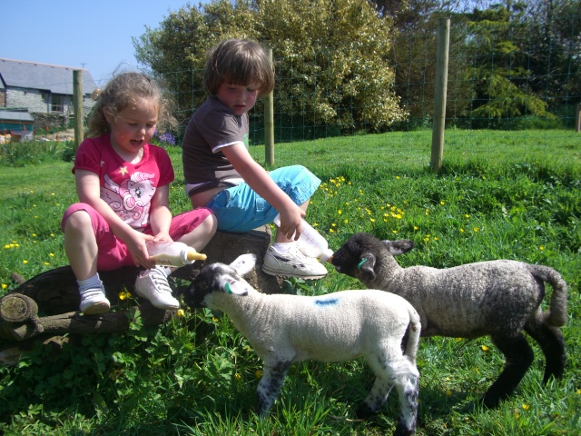 skola etno selo svetozar miletic