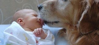 Deca koja od rođenja žive sa psom su zdravija