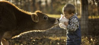 Detinjstvo na farmi kroz objektiv tate fotografa