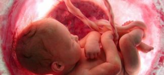 Otkriće naučnika: Bebe u stomaku prepoznaju lica i obrise