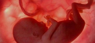 Materična sluz – medijum preko koga se informacije prenose embrionu