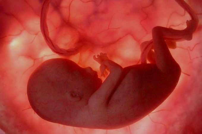 Materična sluz – medijum preko koga se informacije prenose embrionu