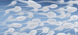 Drastičan pad koncentracije spermatozoida u poslednjih 50 godina