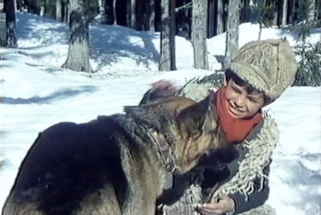 vuk samotnjak decji film