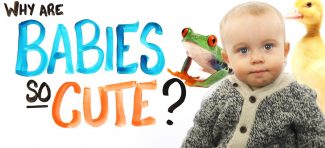 Zašto su bebe neodoljive