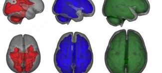 Neverovatan uticaj dojenja na razvoj delova mozga