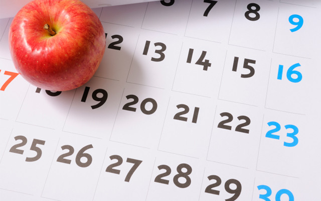 skolski kalendar srbija
