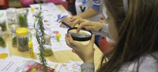 Manifestacija “Inteligencija biljaka”: Izložba i radionice za decu