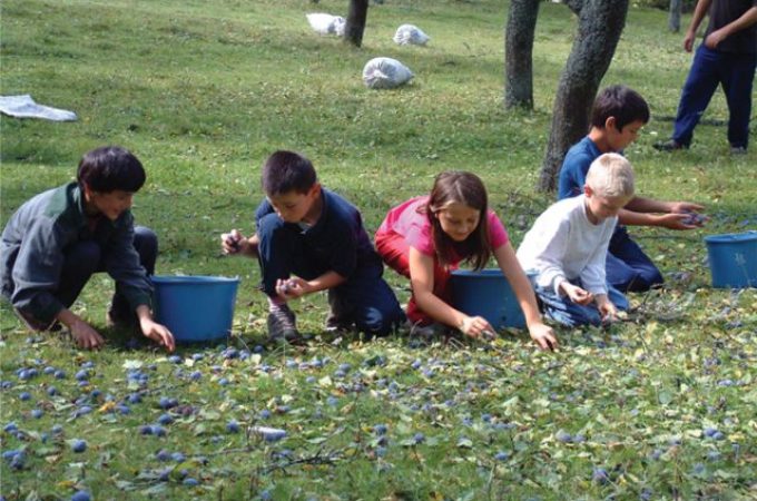 Đačka zadruga u selu Visoka: Rođena iz ljubavi, decu uči da je moguće opstati
