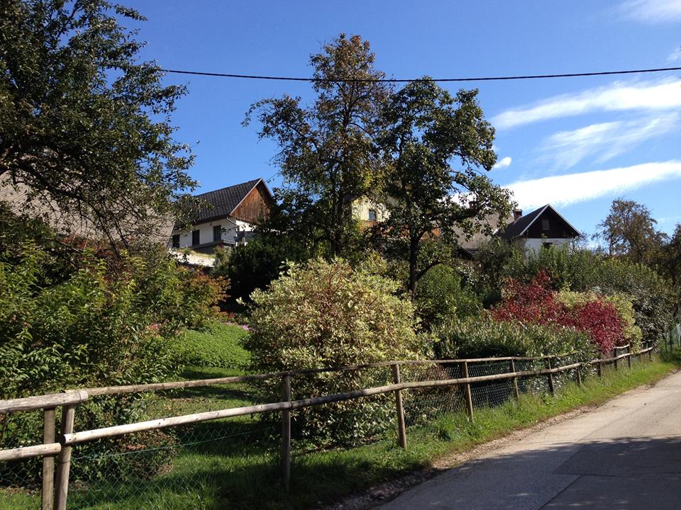 slovenija seoski turizam