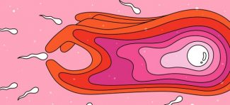 Otkriće naučnika: Pri oplođivanju, jajna ćelija bira spermatozoid