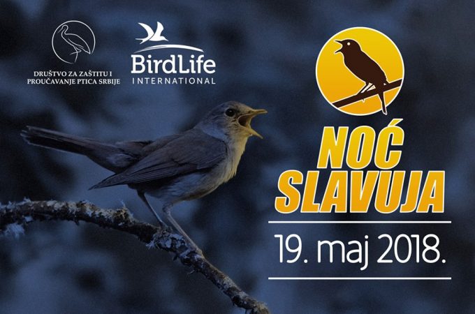Ovog proleća prva “Noć slavuja” u Srbiji
