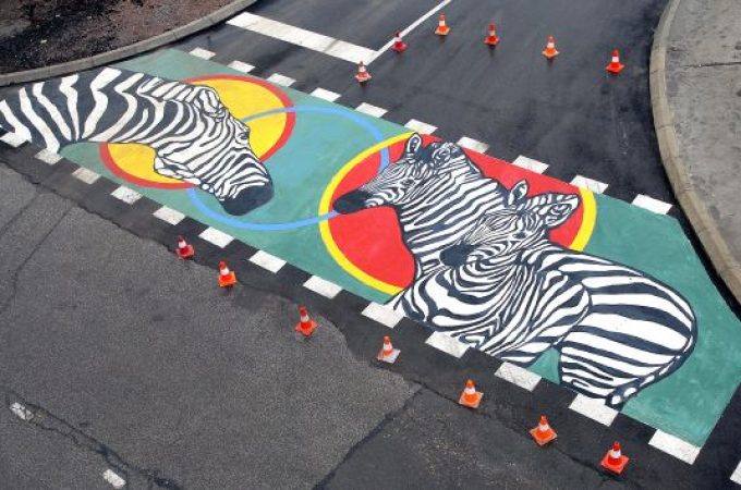 Miloje Mitrović, umetnik koji oživljava zebre na asfaltu