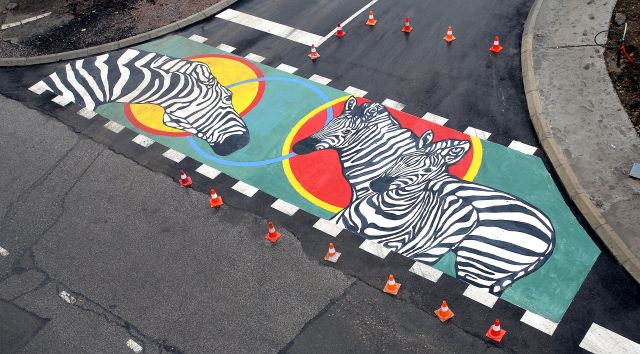 zebra miloje mitrovic pesacki prelaz (9)