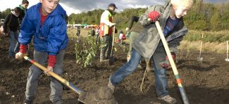 Porodična akcija pošumljavanja Beča – deca posadila 10 hiljada drveća i grmlja