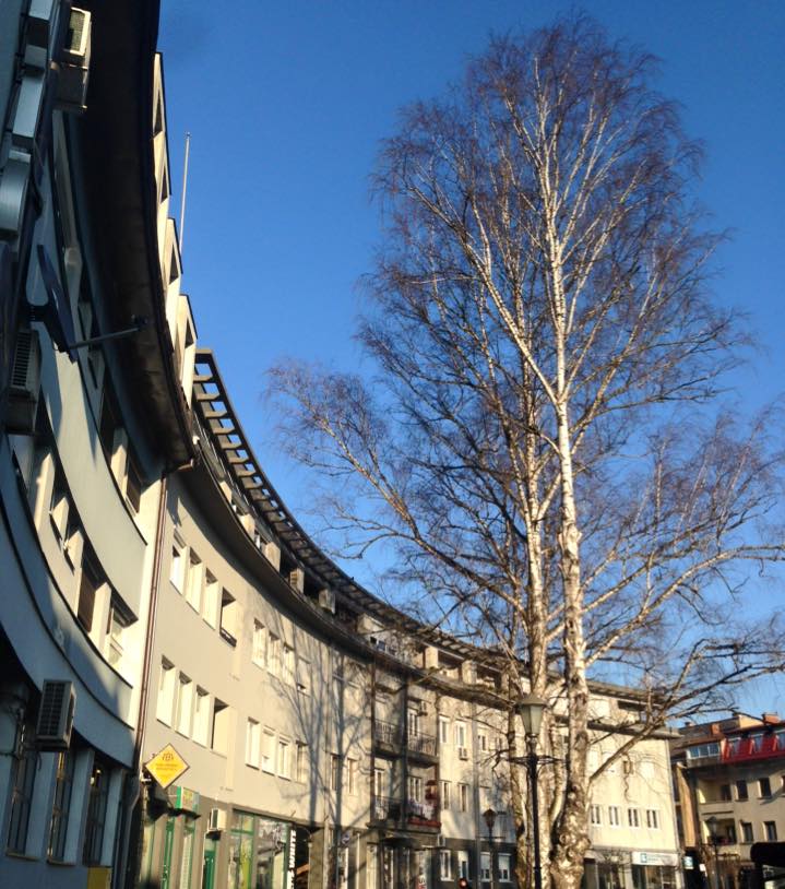 pozega