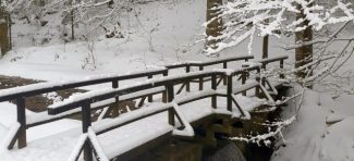 Zima u Srbiji: Tišina i mir snežnog Goča
