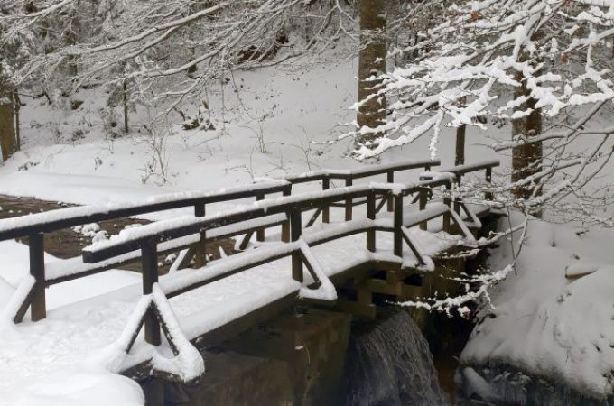 Zima u Srbiji: Tišina i mir snežnog Goča