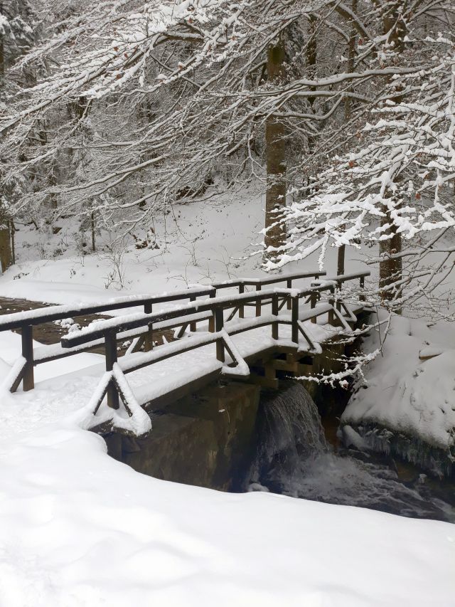 goc planina