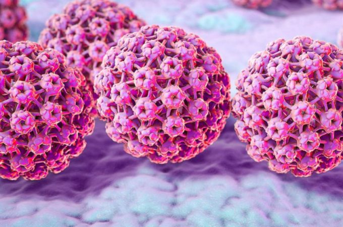 Kako se zaštititi od HPV-a, glavnog uzročnika raka grlića materice