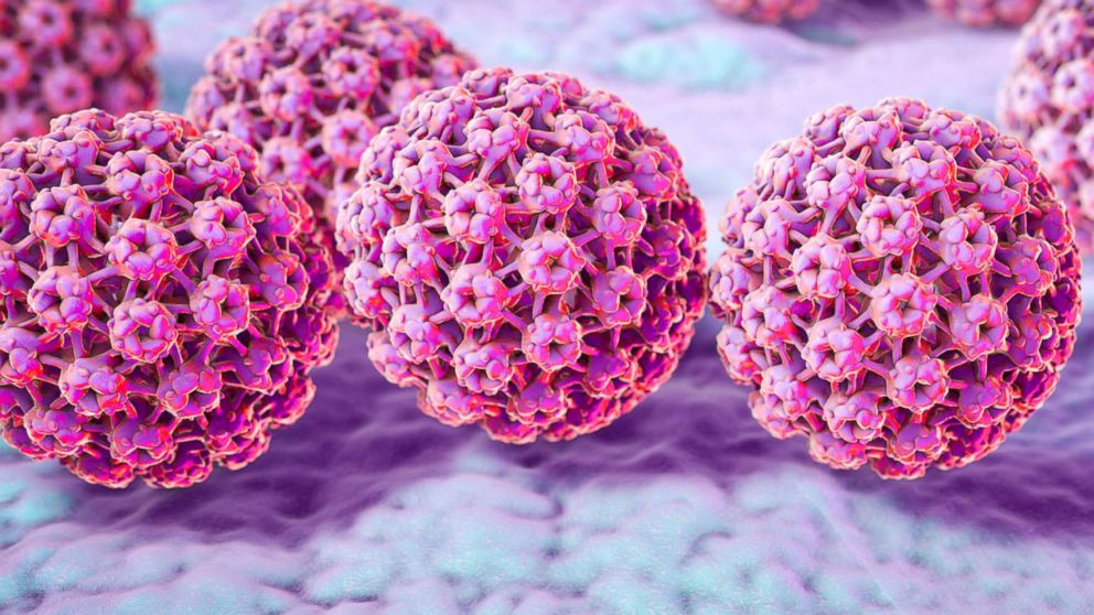hpv virus